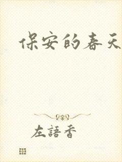 保安的春天