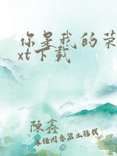 你是我的荣耀txt下载