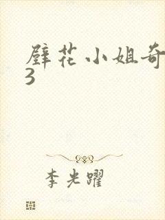 壁花小姐奇遇记3