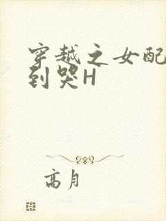穿越之女配被肉到哭H