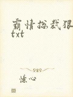 霸情总裁狠狠爱txt