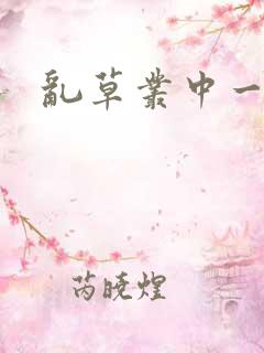 乱草丛中一杆枪