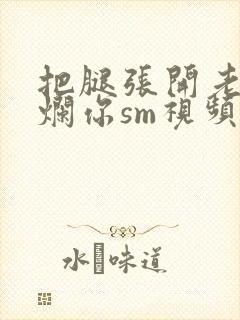 把腿张开老子臊烂你sm视频