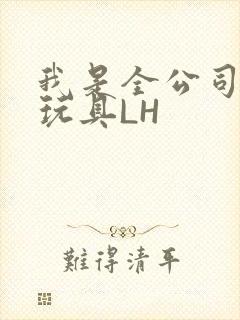 我是全公司发泄玩具LH