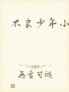 不良少年小说