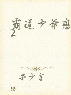 霸道少爷恋上我2