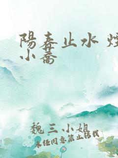 阳春止水 烟树小荞