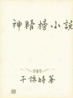 神精榜小说