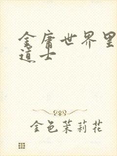 金庸世界里的小道士