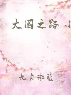 大国之路 小说