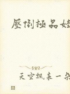 压倒极品娃娃妻