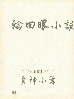 轮回眼小说