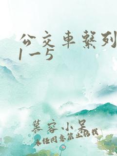 公交车系列合集1一5