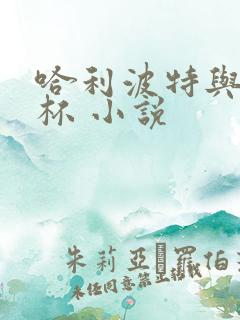 哈利波特与火焰杯 小说