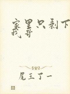 家里只剩下我和我哥