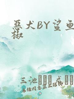 恶犬BY鲨鱼辣椒