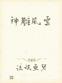 神雕风云