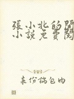 张小北的开光师小说免费阅读怎么没有276章