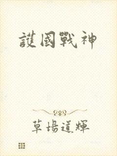 护国战神