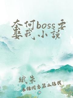 奈何boss要娶我小说