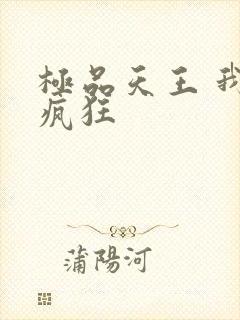 极品天王 我本疯狂