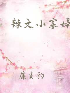 辣文小寡妇