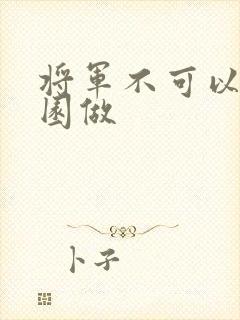 将军不可以在花园做