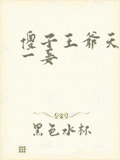 傻子王爷天下第一妾