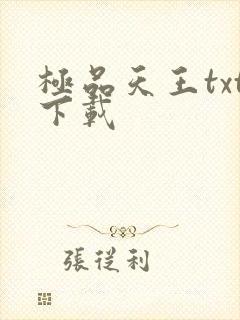 极品天王txt下载
