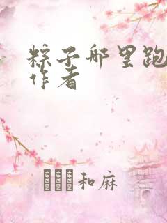 粽子哪里跑小说作者