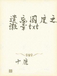 遗忘国度之神秘徽章txt