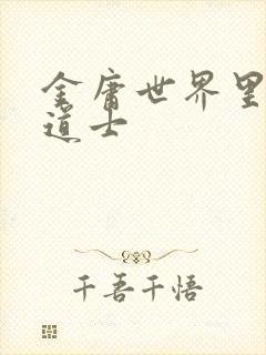 金庸世界里的小道士