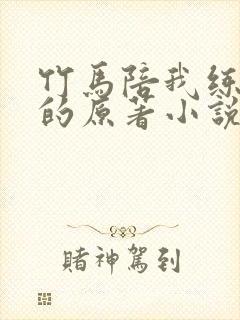 竹马陪我练技术的原著小说