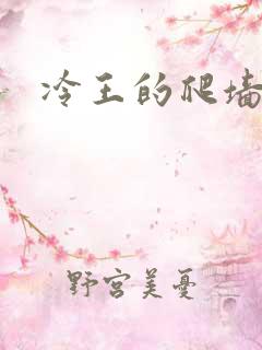 冷王的爬墙丑妃