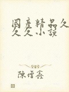 国产精品久久久久久小说