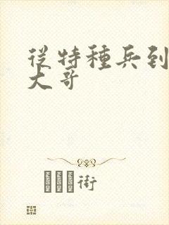 从特种兵到黑道大哥