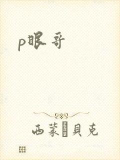 p眼哥