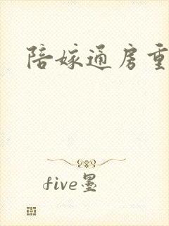 陪嫁通房重生记