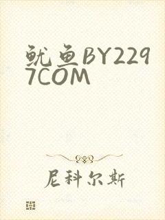鱿鱼BY2297COM