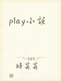 play小说