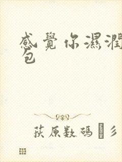 感觉你湿润我书包