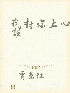 我对你上心了小说