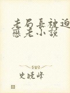 老局长被迫为奴恋老小说