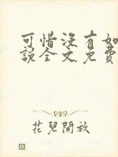 可惜没有如果小说全文免费阅读