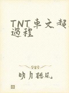 TNT车文超细过程