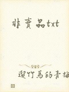 非卖品txt