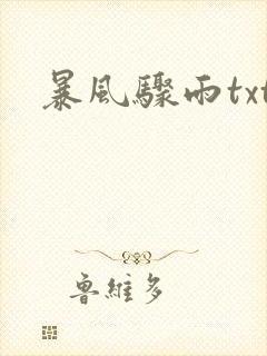 暴风骤雨txt