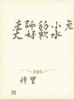 老师的小兔子好大好软水