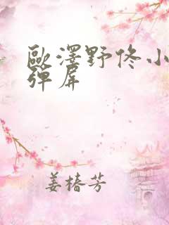 欧泽野佟小曼无弹屏