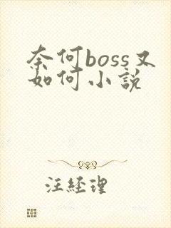 奈何boss又如何小说